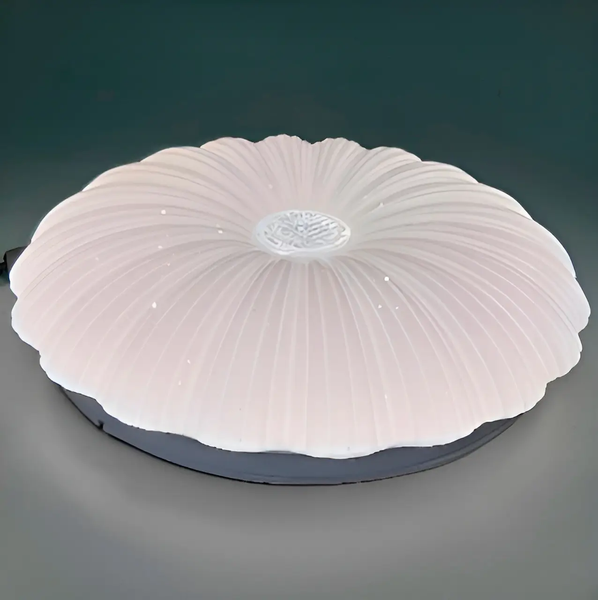 LED світильник накладний Biom 18W 5000K коло зоряне небо DL-R605-18 13198 фото