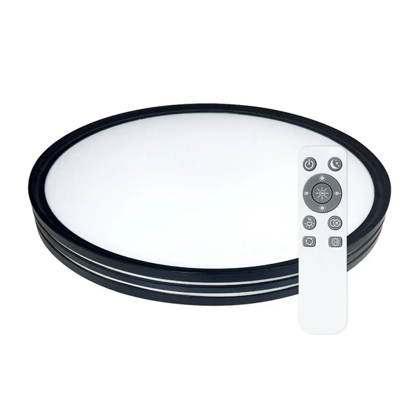 Светильник светодиодный Biom SMART SML-R41-50/2 3000-6000K 50Вт с д/у 22928 фото