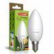 Світлодіодна EUROLAMP LED Лампа "Свічка" ЕКО 6W E14 3000K LED-CL-06143(P) фото 1